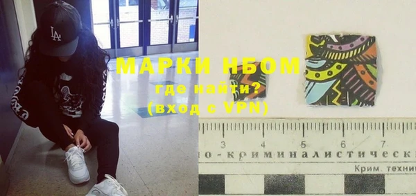 ПСИЛОЦИБИНОВЫЕ ГРИБЫ Богданович