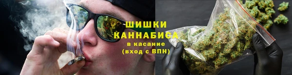 ПСИЛОЦИБИНОВЫЕ ГРИБЫ Богданович