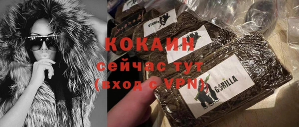 ПСИЛОЦИБИНОВЫЕ ГРИБЫ Богданович