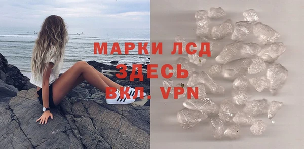 ПСИЛОЦИБИНОВЫЕ ГРИБЫ Богданович