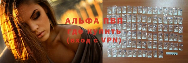 ПСИЛОЦИБИНОВЫЕ ГРИБЫ Богданович